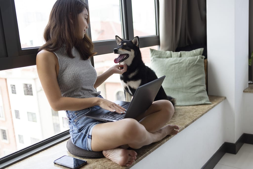 Cachorro Pequeno Para Apartamento