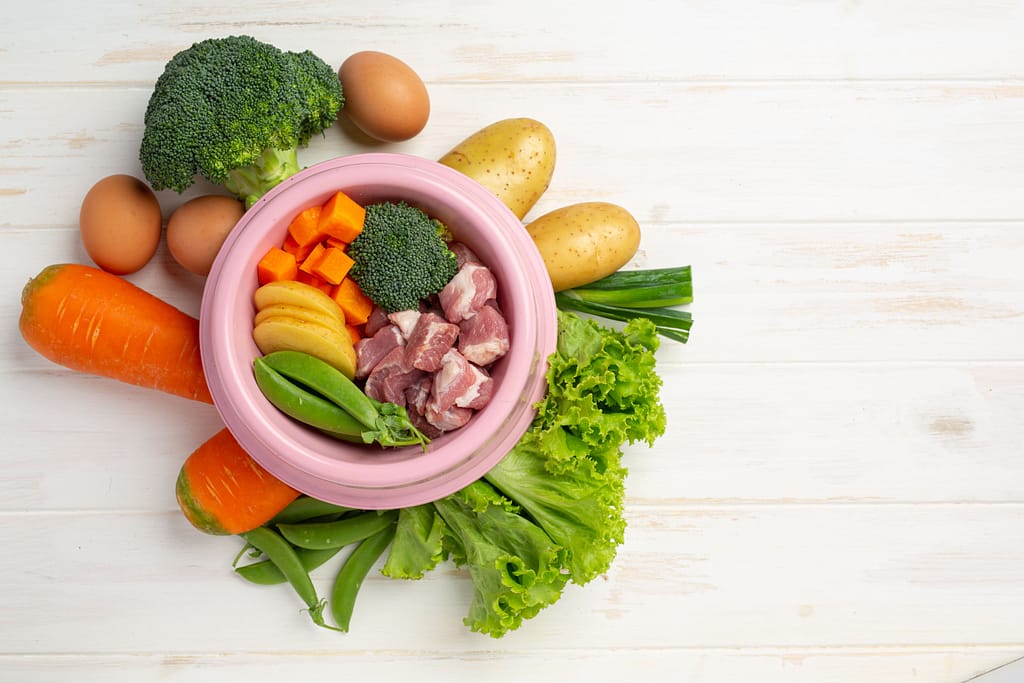 Comida Natural Para Cachorro