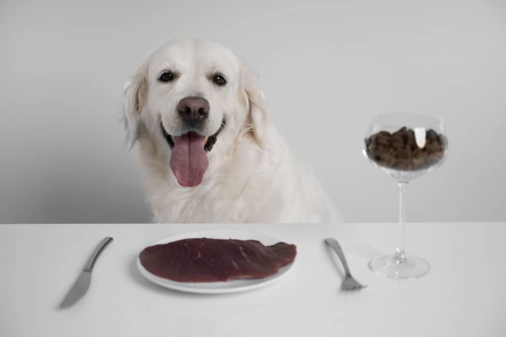 Comida Natural Para Cachorro
