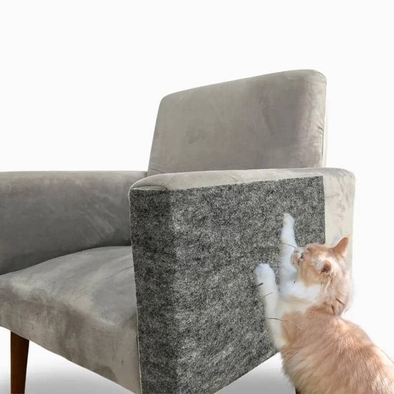 Gato Arranhando Móveis